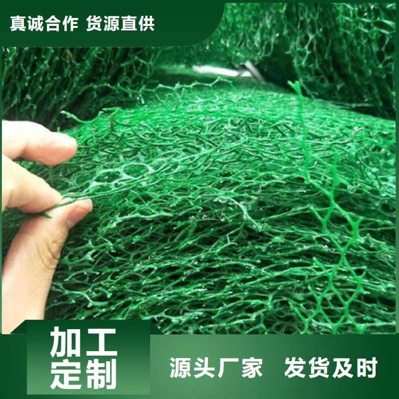 三维植被网,【土工布】细节严格凸显品质-鼎诺土工材料(嘉峪关市分公司)