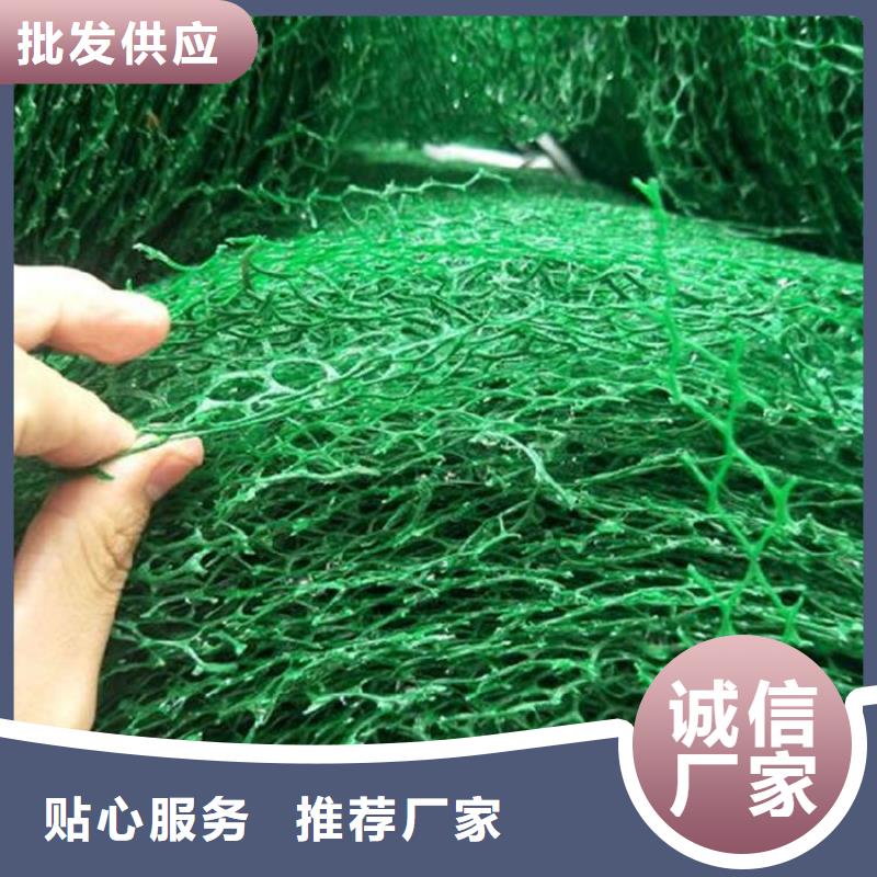 塑料EM5三维固土网垫