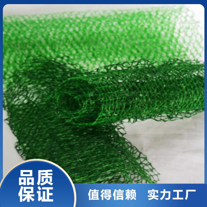 三维植被网_【玻纤格栅】多种场景适用