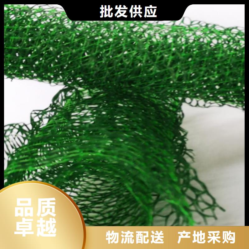 塑料EM5三维固土网垫