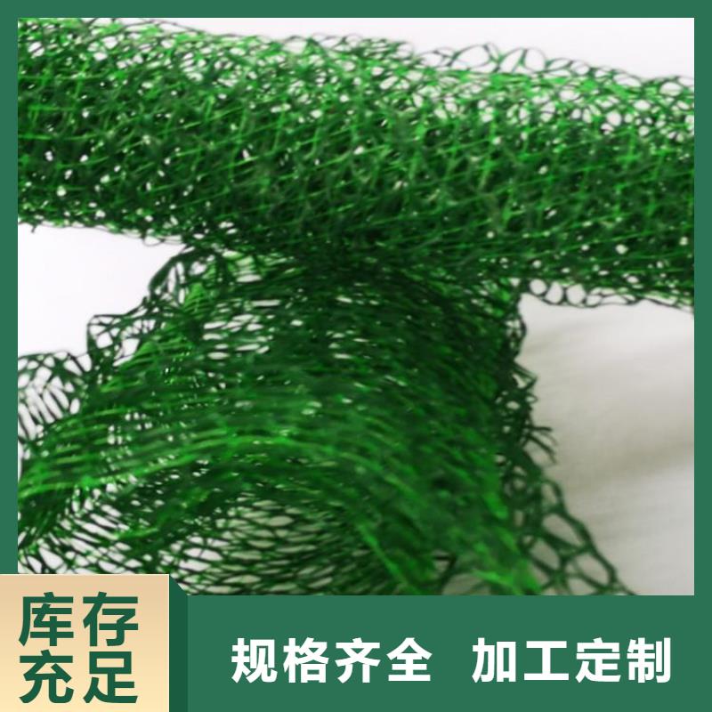 三维植被网,【土工布】细节严格凸显品质-鼎诺土工材料(嘉峪关市分公司)