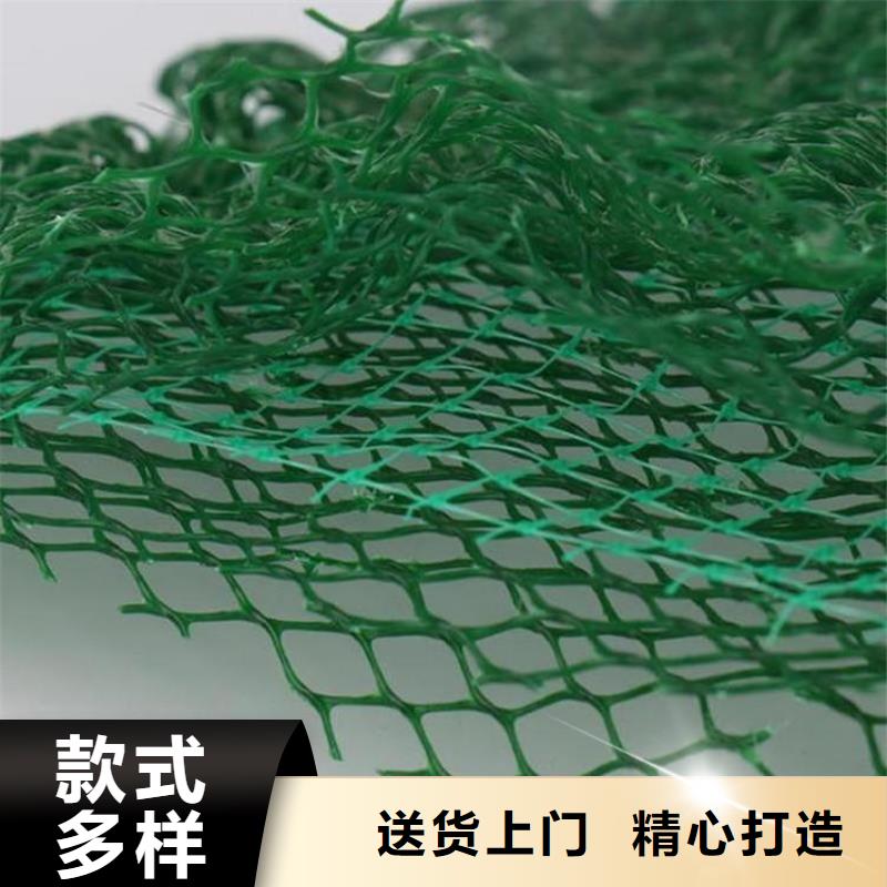 三维植被网_土工格栅交货准时