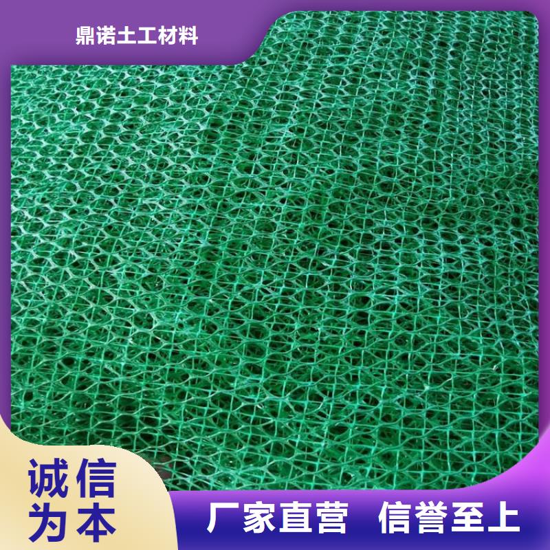塑料EM5三维固土网垫