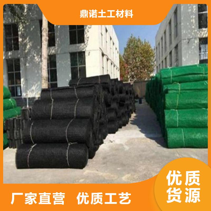 EM5三维护坡植草网垫