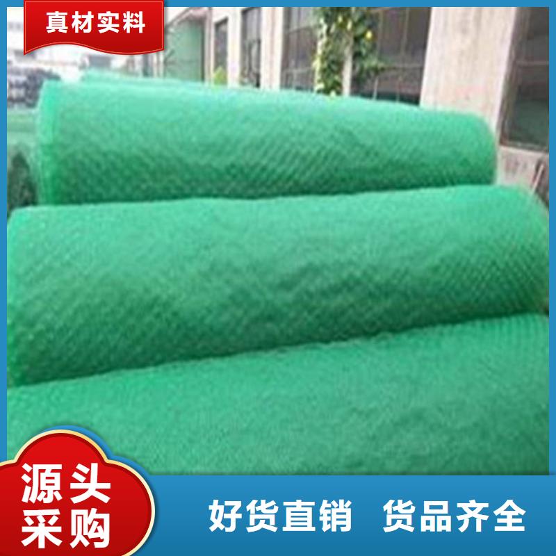 三维植被网_土工格栅交货准时