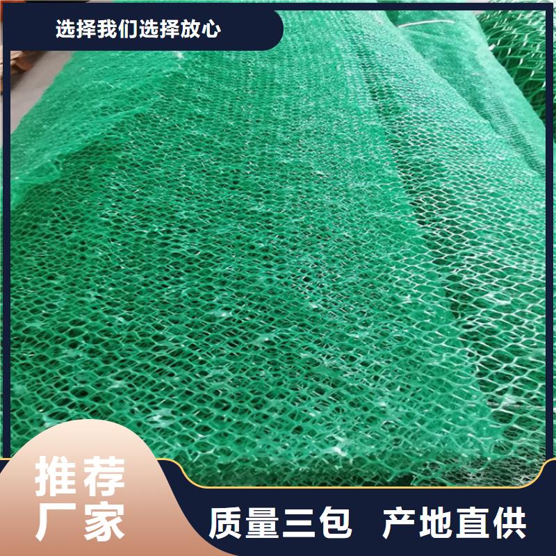 三维植被网品质优选