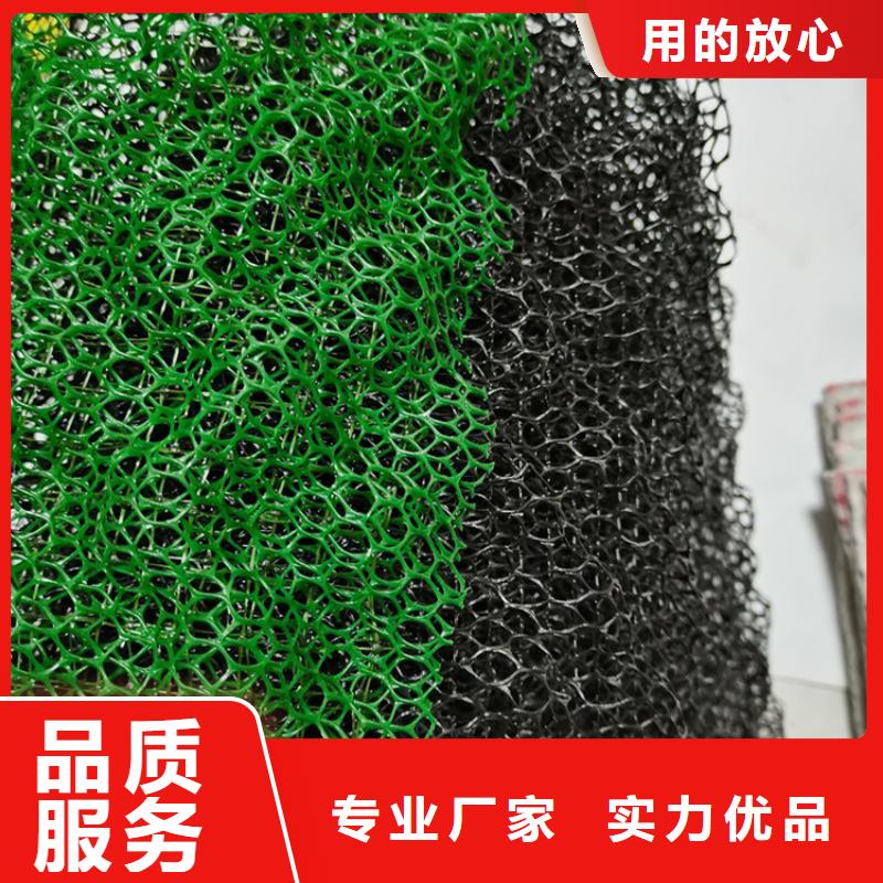 三维植被网_土工格栅交货准时