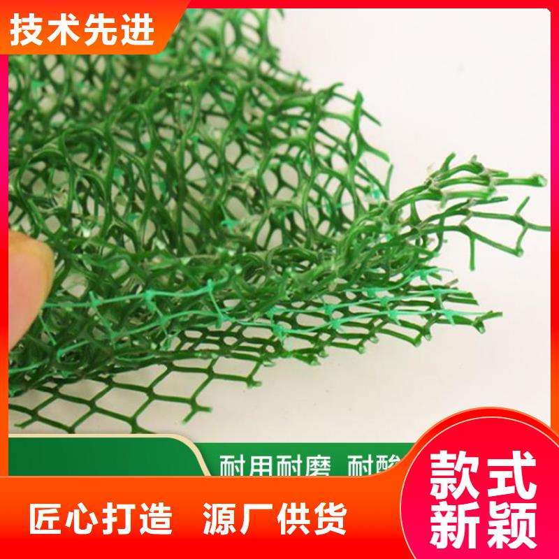 三维植被网_土工格栅交货准时