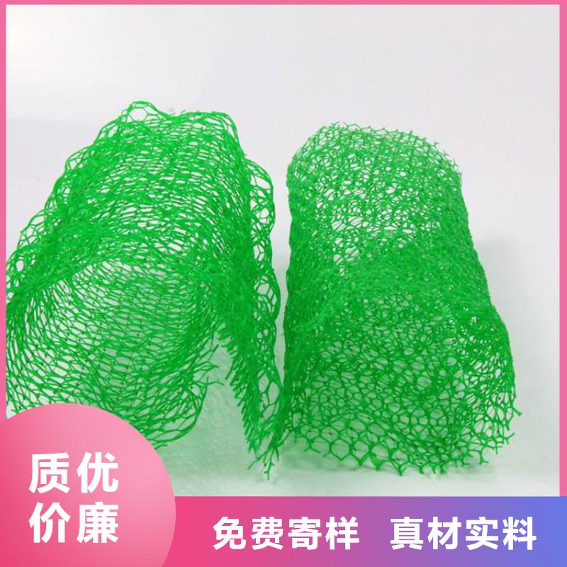 三维植被网防渗膜源头厂商