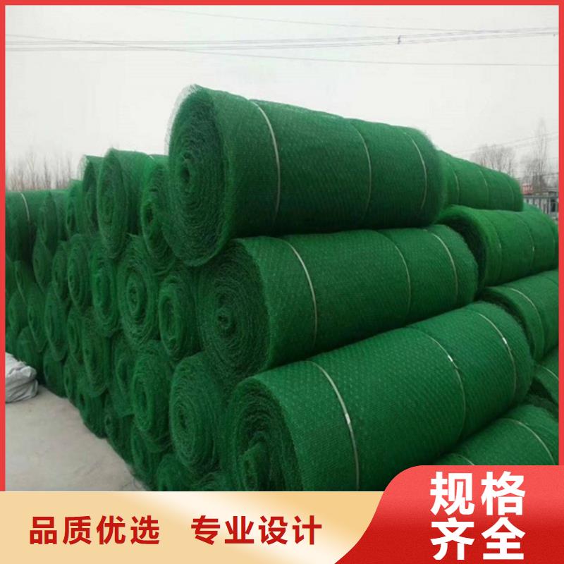 三维植被网,【土工布】细节严格凸显品质-鼎诺土工材料(嘉峪关市分公司)