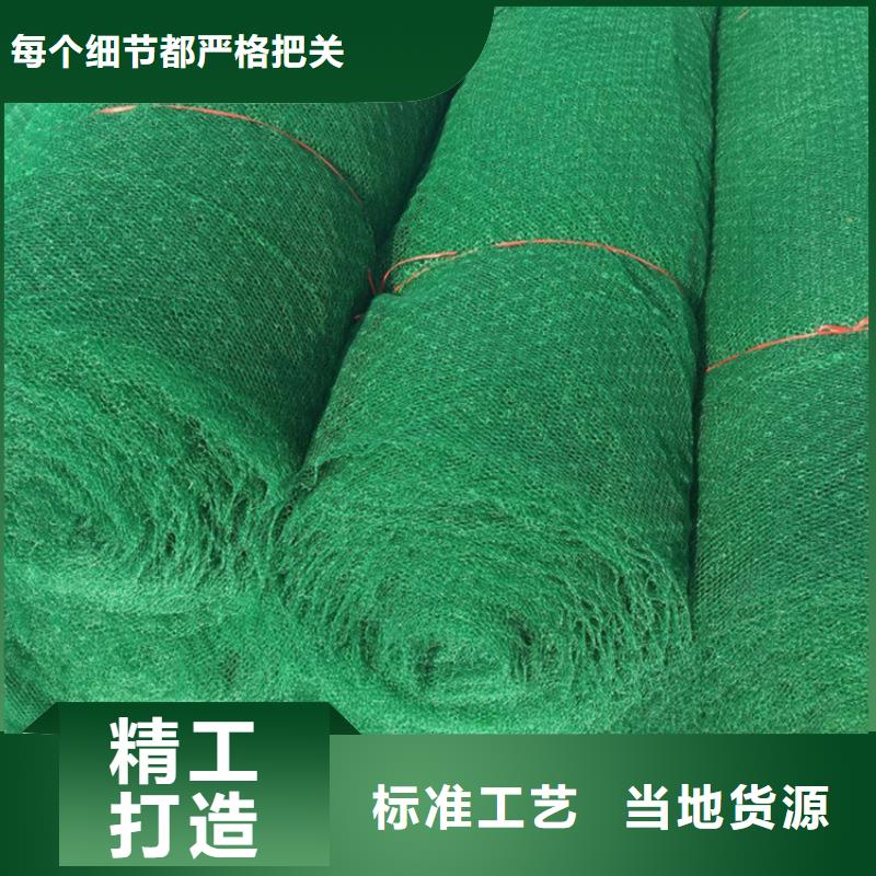 EM5三维护坡植草网垫
