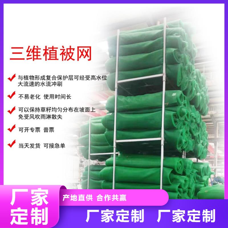 三维植被网-玻纤格栅实力厂家直销