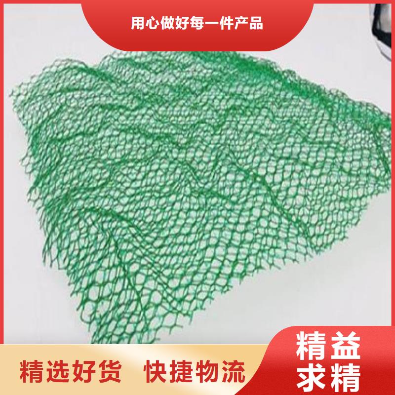 诚信为本 三维植被网【HDPE土工膜】源头采购厂家技术完善