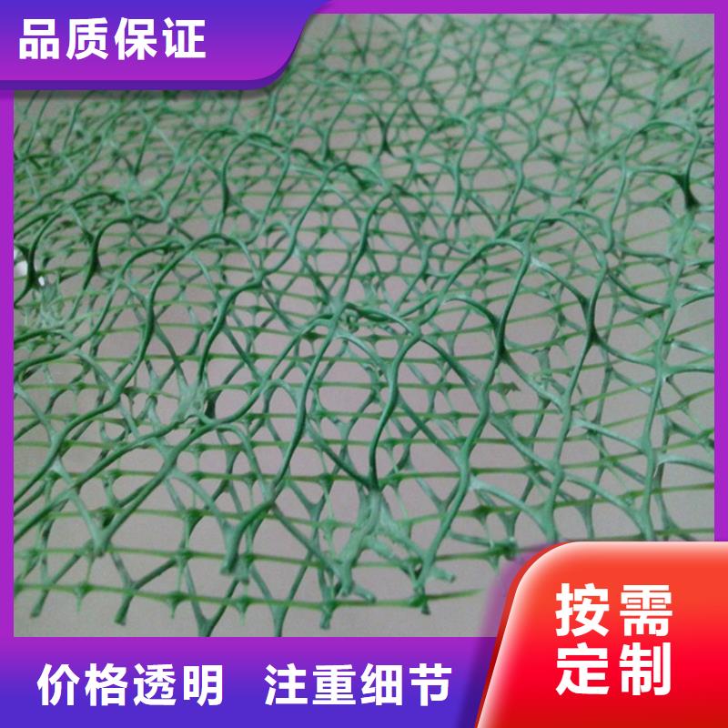 三维植被网-玻纤格栅实力厂家直销