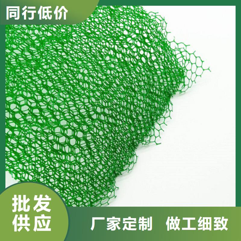 三维植被网,【土工布】细节严格凸显品质-鼎诺土工材料(嘉峪关市分公司)