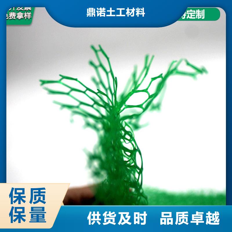 三维植被网_土工膜发货迅速
