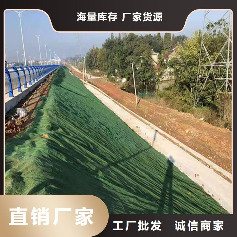 三维植被网,【土工布】细节严格凸显品质-鼎诺土工材料(嘉峪关市分公司)