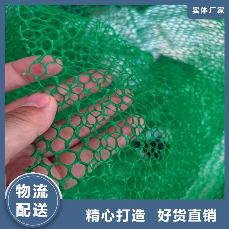 真诚合作 三维植被网,【土工布】细节严格凸显品质-【同城】生产厂家
