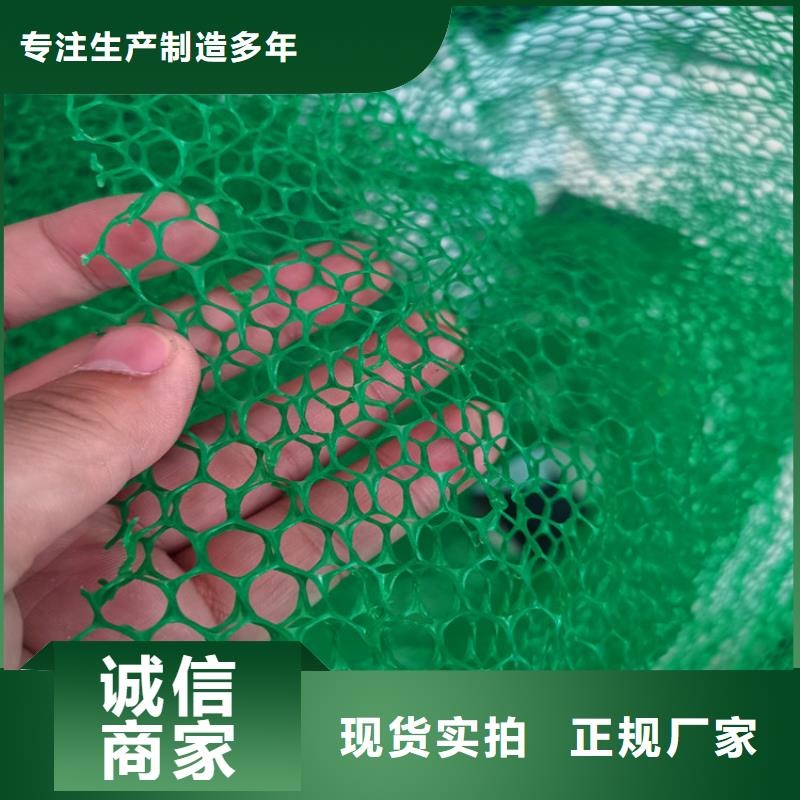 三维植被网防渗膜源头厂商