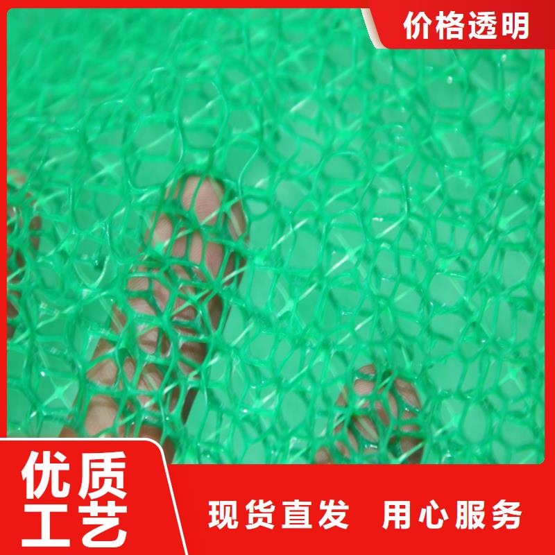 三维植被网-玻纤格栅实力厂家直销