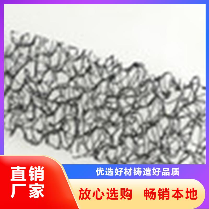 通风降噪丝网钢塑土工格栅贴心服务