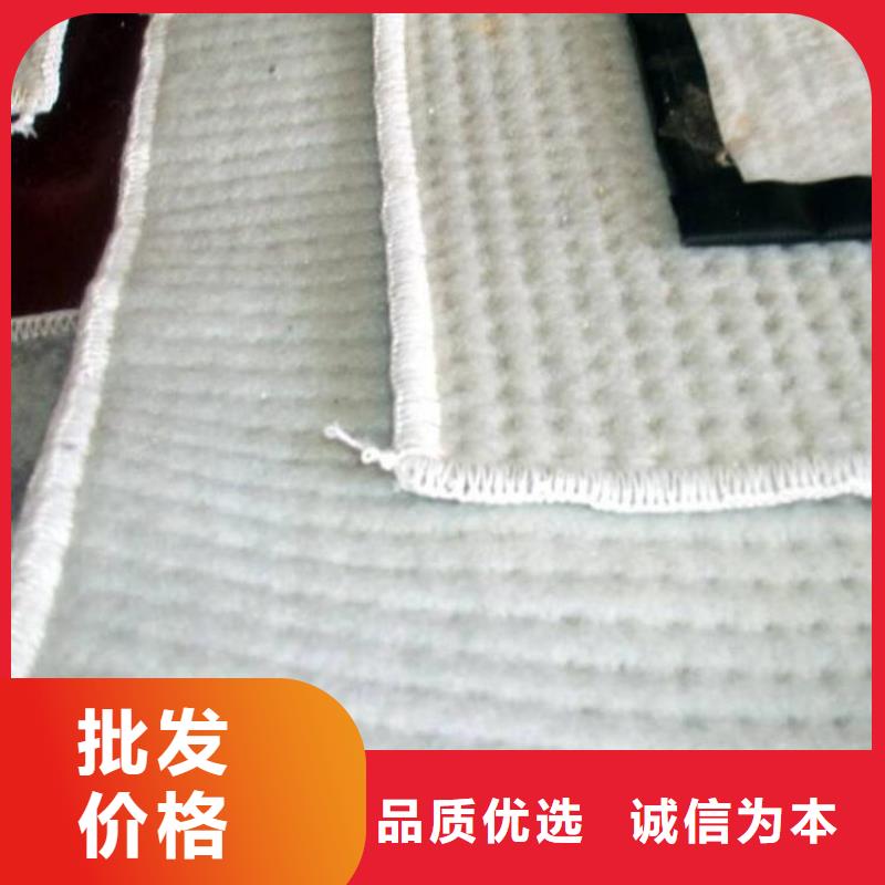 膨润土防水毯玻璃纤维土工格栅工艺层层把关
