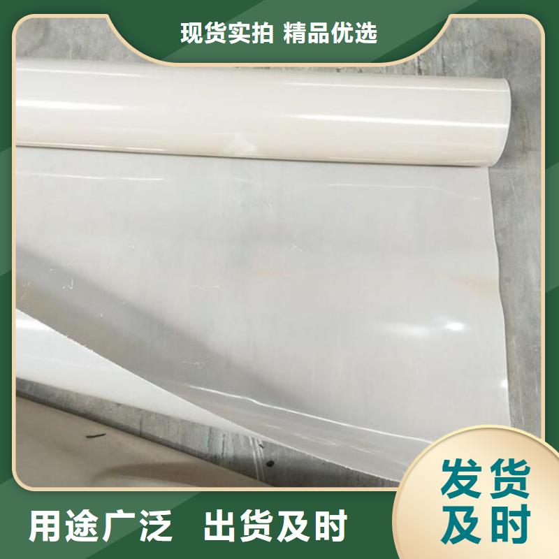 防水板,土工格栅源头工厂量大优惠