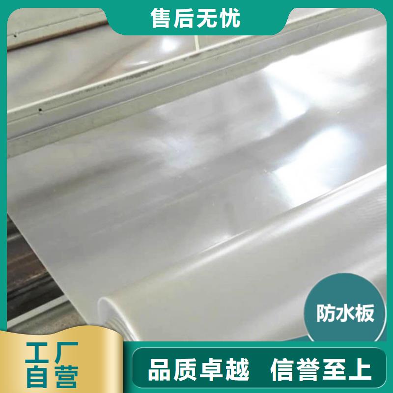 防水板,土工格栅源头工厂量大优惠