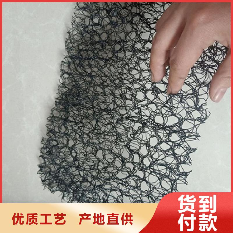 【水土保护毯】 HDPE土工膜符合行业标准-鼎诺土工材料(兰州市分公司)