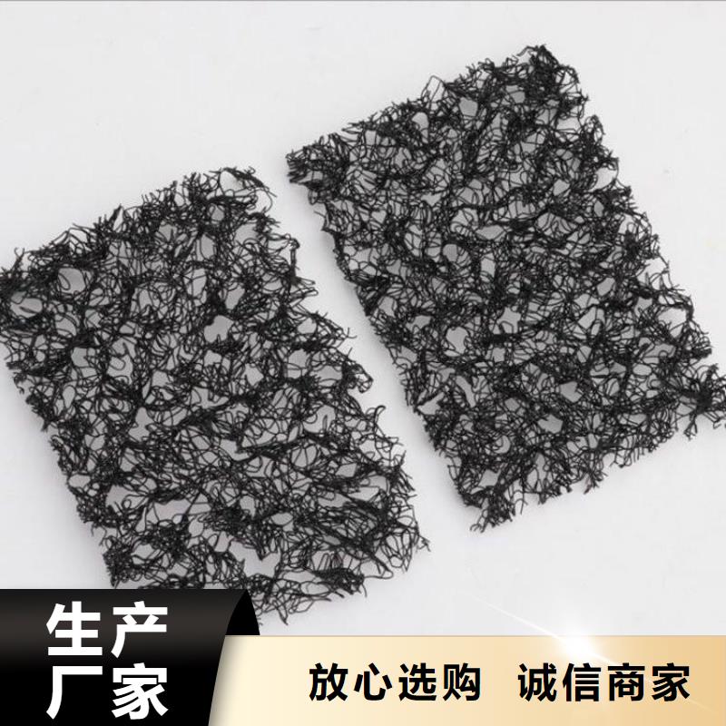 【水土保护毯】 HDPE土工膜符合行业标准-鼎诺土工材料(兰州市分公司)