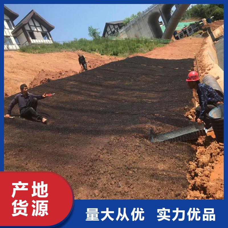 水土保护毯,土工布为您提供一站式采购服务