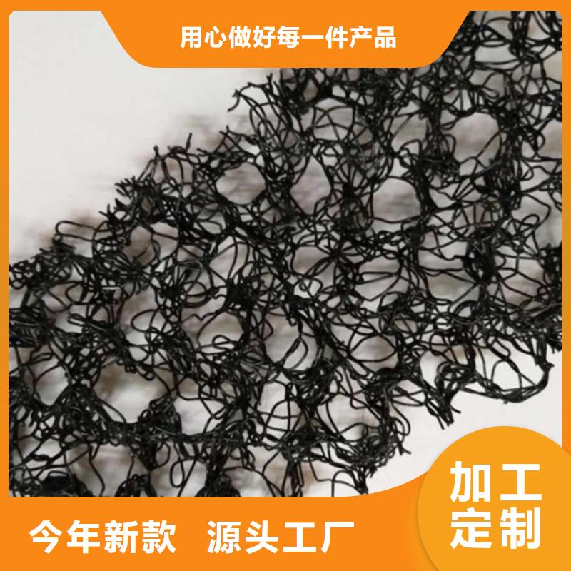 【水土保护毯】 HDPE土工膜符合行业标准-鼎诺土工材料(兰州市分公司)