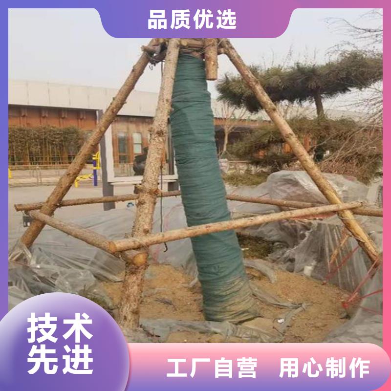 裹树布【防渗膜】产品细节本地品牌