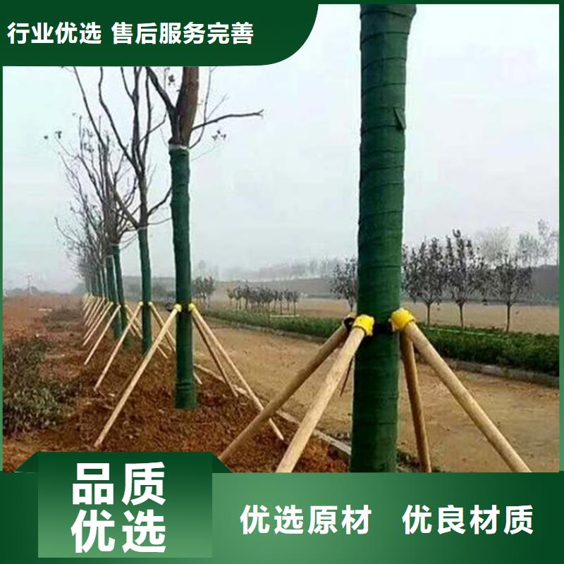 裹树布【塑料土工格栅】就近发货
