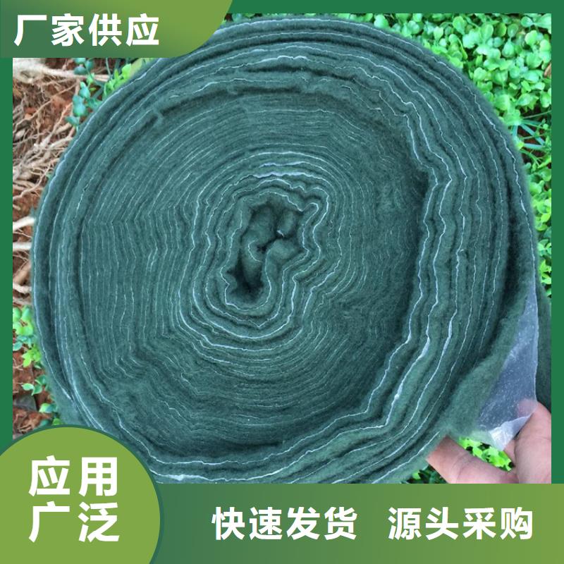 裹树布_土工格栅供您所需