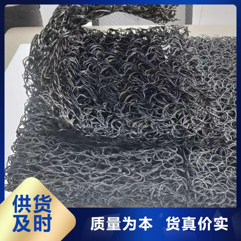 【 土工席垫_HDPE土工膜真正的源头厂家】-鼎诺土工材料(张家界市分公司)