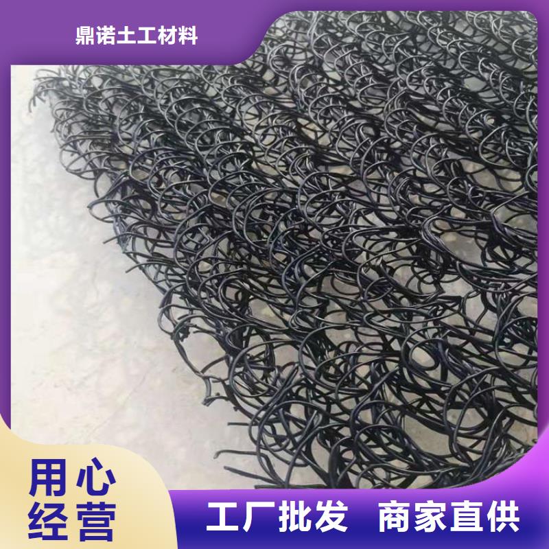 【 土工席垫_HDPE土工膜真正的源头厂家】-鼎诺土工材料(张家界市分公司)