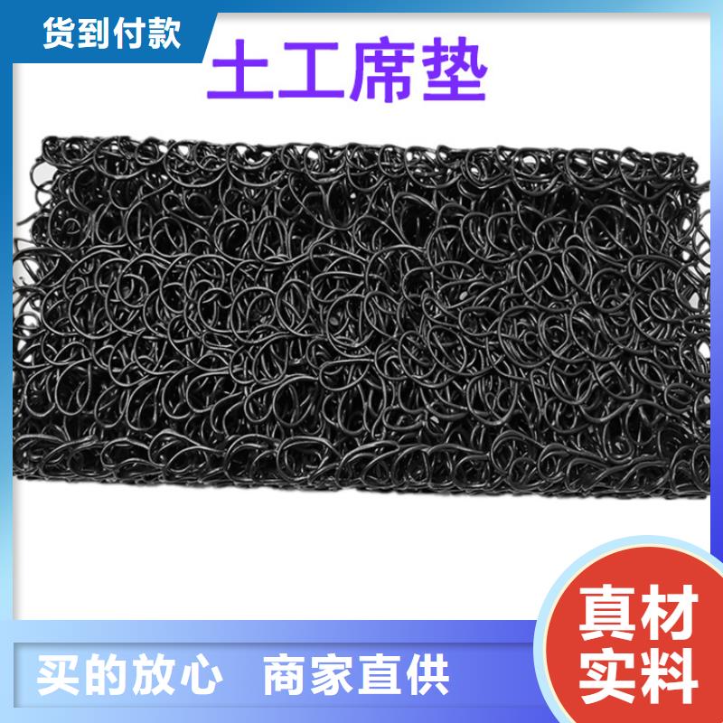 【 土工席垫_HDPE土工膜真正的源头厂家】-鼎诺土工材料(张家界市分公司)
