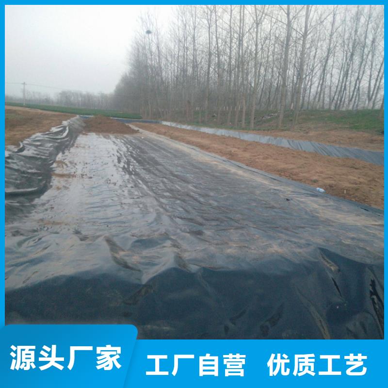 土工膜土工格栅产地工厂
