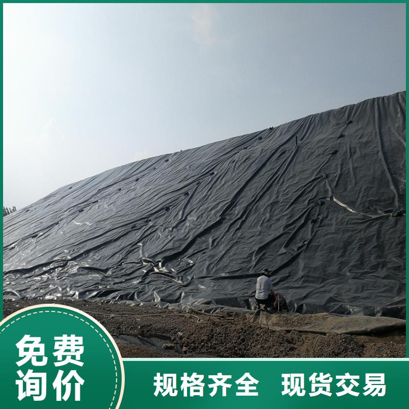 土工膜三维植被网诚信可靠