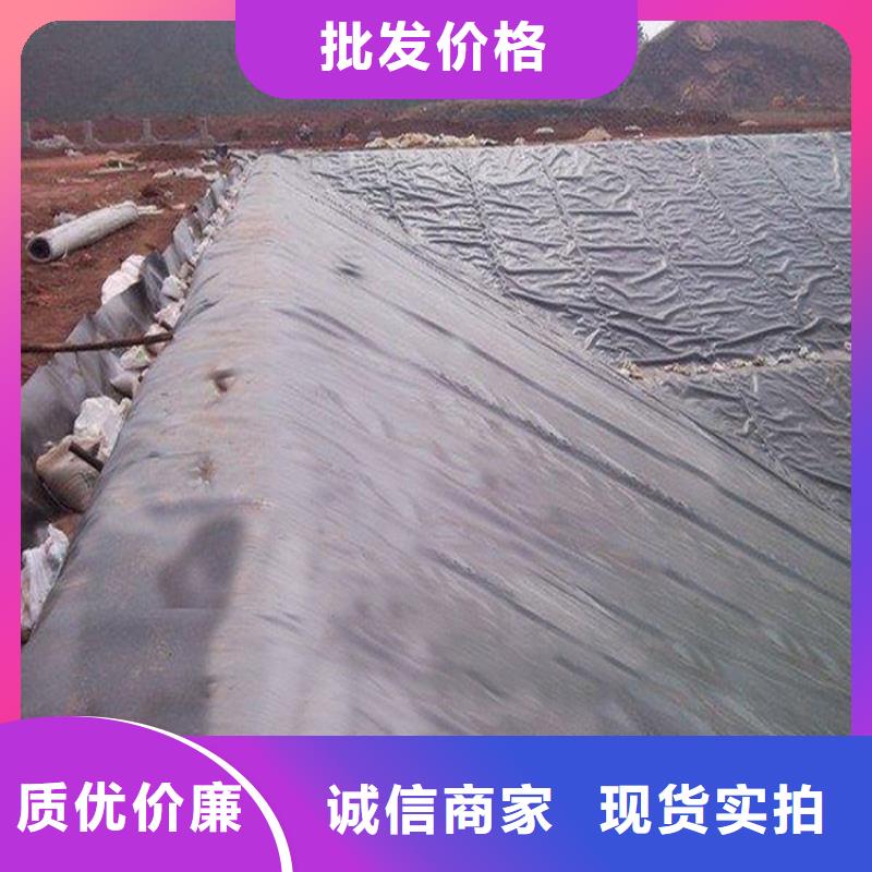 土工膜土工格栅产地工厂