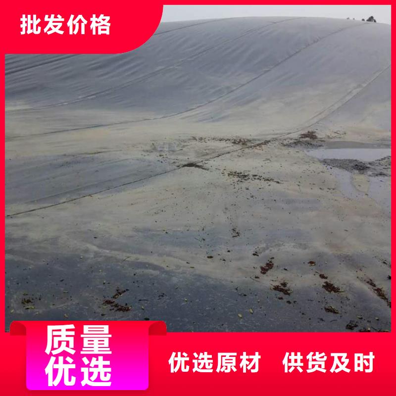 土工膜钢塑土工格栅专业设计