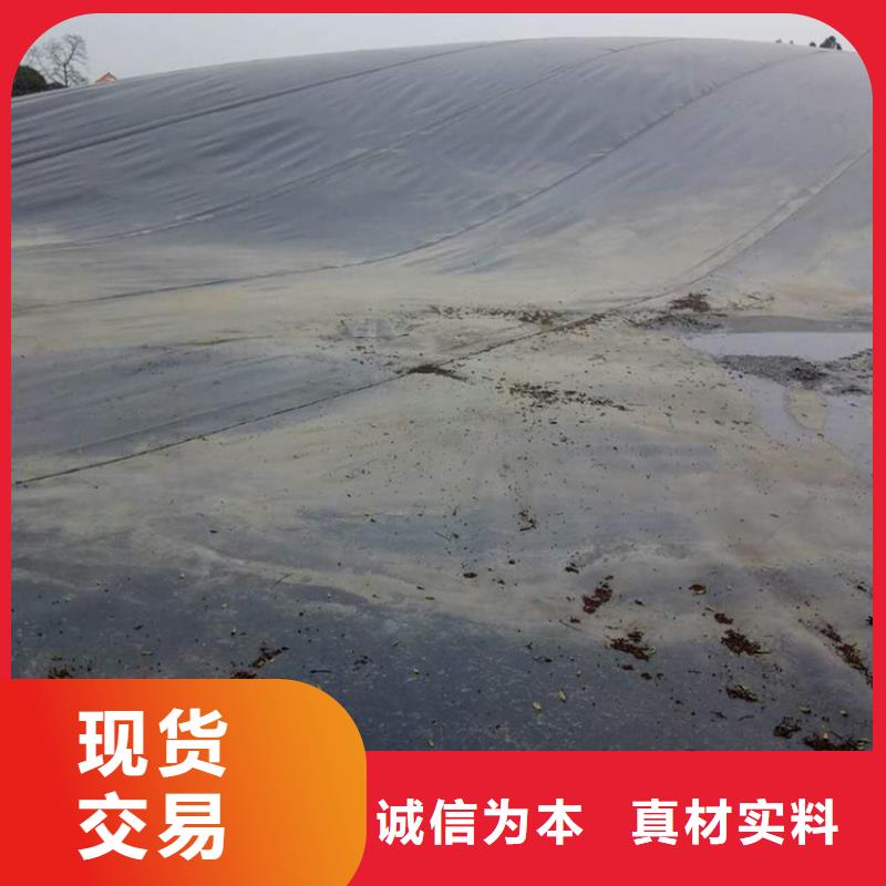 土工膜三维植被网诚信可靠