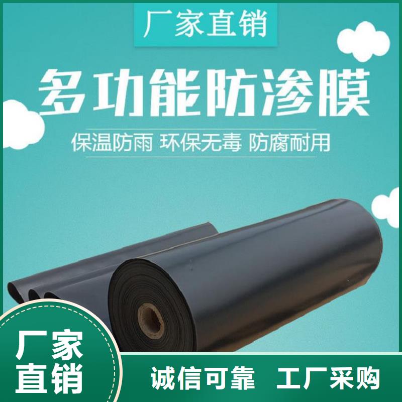 土工膜钢塑土工格栅专业设计