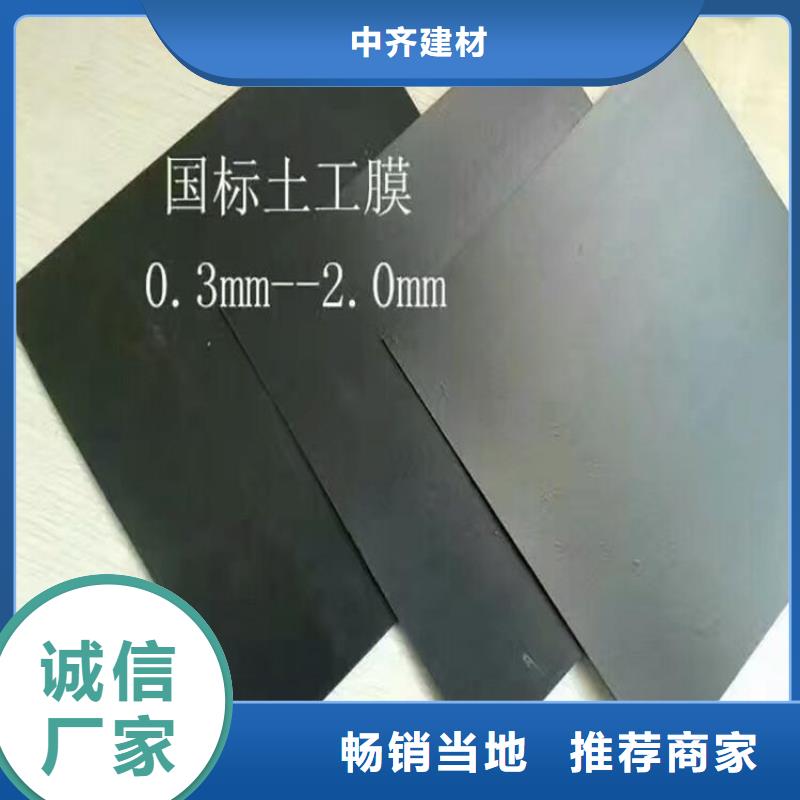 土工膜土工格栅产地工厂