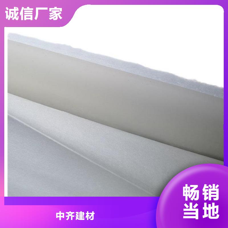 土工布-防渗膜认准大品牌厂家
