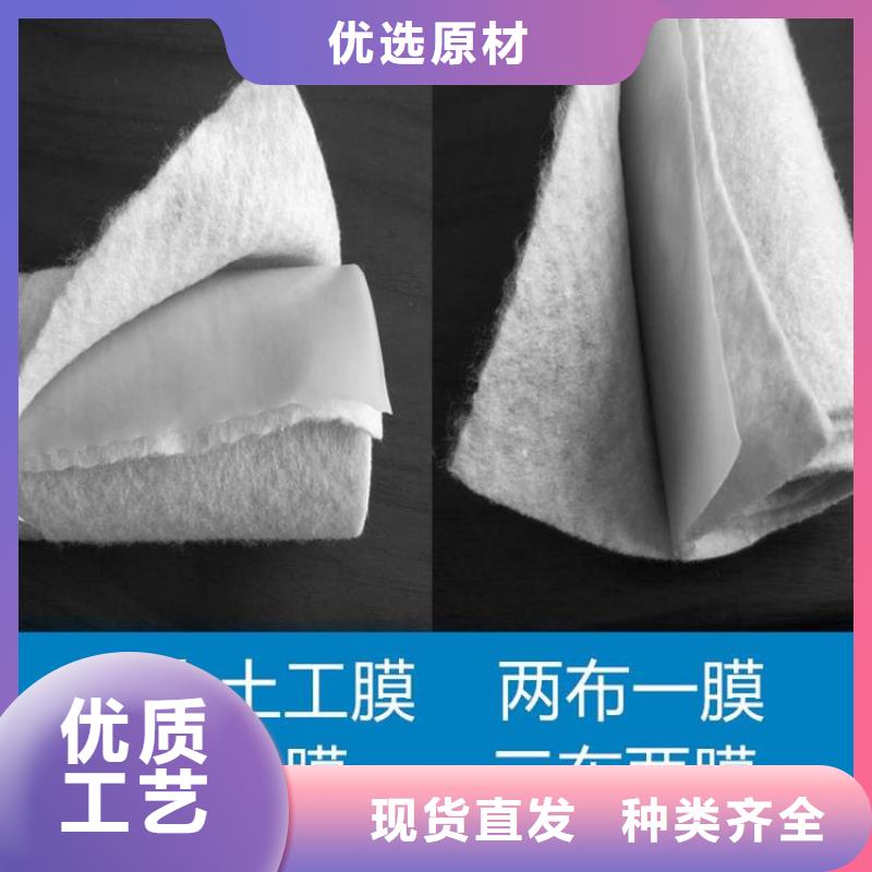 土工布双向塑料土工格栅源头厂商