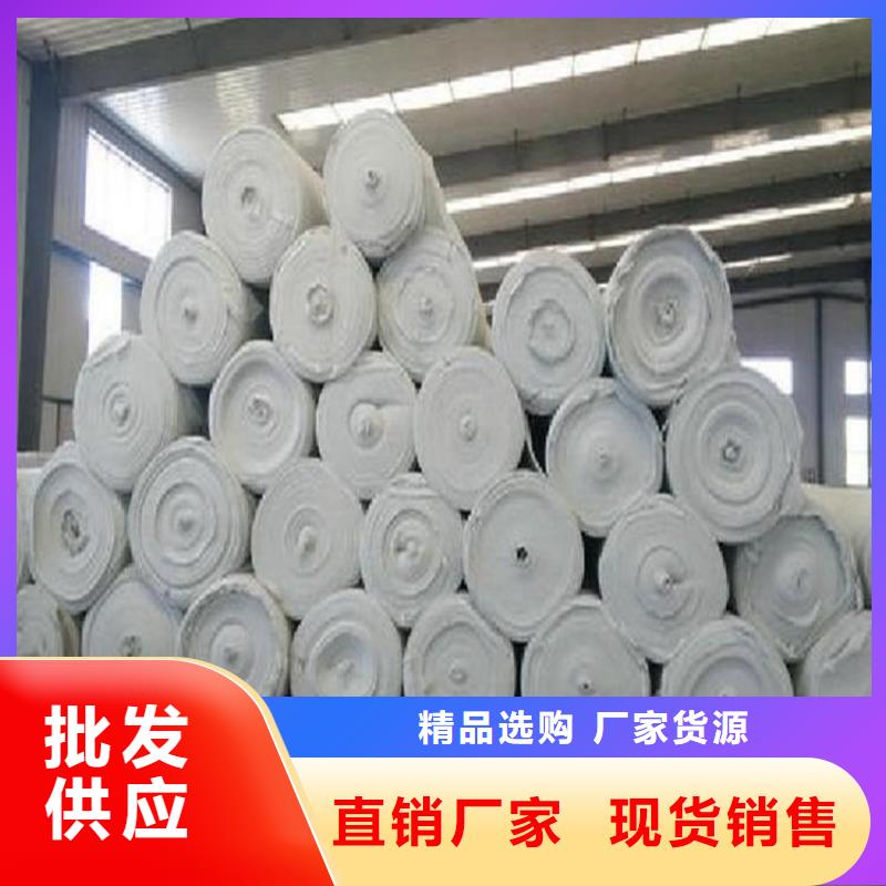 土工布-防渗膜认准大品牌厂家