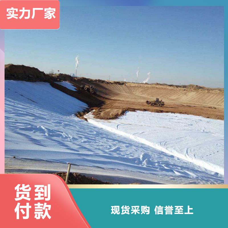 土工布双向塑料土工格栅源头厂商