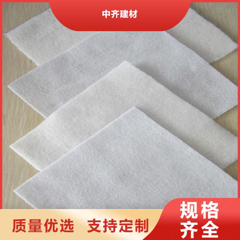 土工布双向塑料土工格栅源头厂商